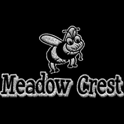 GLT17 SILVER GLITTER Thumbnail