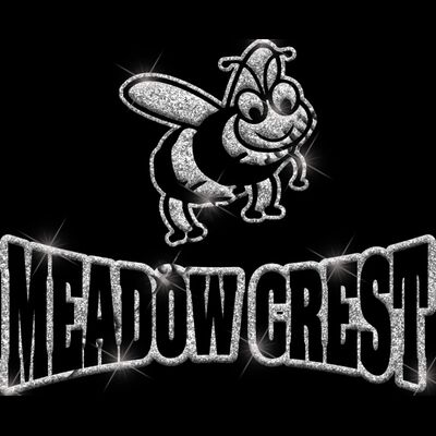 GLT32 SILVER GLITTER Thumbnail