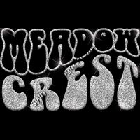 GLT98 SILVER GLITTER Thumbnail