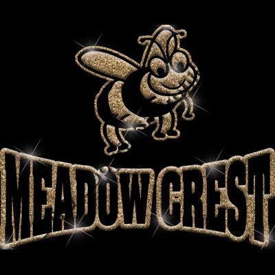 GLT32 GOLD GLITTER Thumbnail